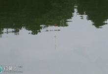 台钓钓法中最简单的调漂方法