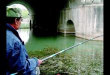 什么是调漂找口，就是调整钩饵位置，方便鱼找口