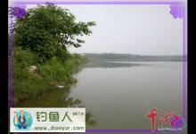 雨后的夏季水库超爽钓鱼日记