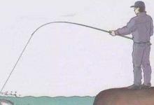 台钓怎么钓灵钓顿？要看实际鱼情