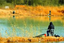 深秋时节鱼口变轻，调漂要钓钝不钓灵？这是为啥