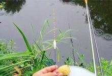 钓鱼调漂技巧：想要调漂更准确，这三点绝对不能忽视