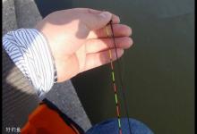 无钩调漂的7个步骤，调漂就是这么简单！
