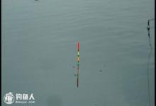 关于台钓浮漂的灵钝相关的诸因素