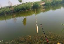 这些因素会影响调漂的准确度