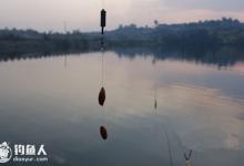 台钓调漂的步骤法之实战战略技巧
