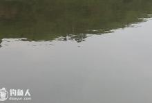 手竿钓鱼调漂，三个步骤轻松学会