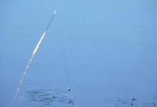 野钓就这样选漂、调漂，没毛病，绝对让你有收获