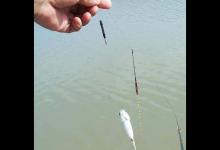 找底的技巧以及6种基本的调钓方法