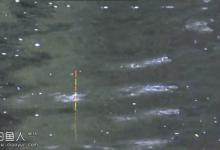 分析钓鱼找底的七个误区