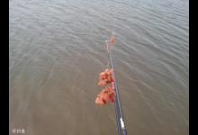 台钓的3大常用调钓手法