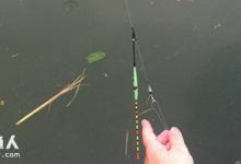 漂相的认识与影响因素的探讨