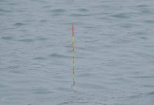 从鱼的吃饵动作，说说浮漂的漂相，注意这些漂相