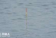 钓鱼高手的四大绝密浮漂调技参数法