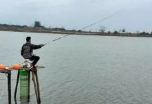 为什么说野钓调漂，调平水，抓的鱼口最多也最真实