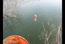 调四钓二与钩饵比重的关系