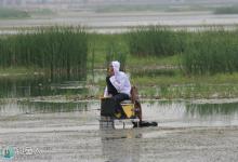 高手谈调漂中一些不为人知的秘密