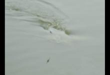 简单易操作的野钓找底方法，正向找底和向找底法