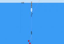 深秋初冬鱼口轻，浮漂应该这样调，鱼口清晰提竿中鱼