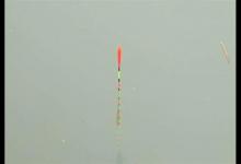 野钓调漂，在不同的钓饵情况下，调钓的思路解析