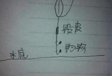 图解0基础钓鱼调漂的6大步骤