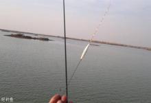 新手钓鱼人如何调漂找底的技巧