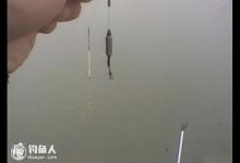 野钓技巧之精确找底的调漂法