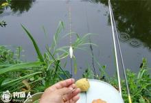 高手分析野外钓鱼的调漂技巧