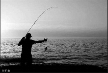 教你从2个方面掌握台钓浮力中心点