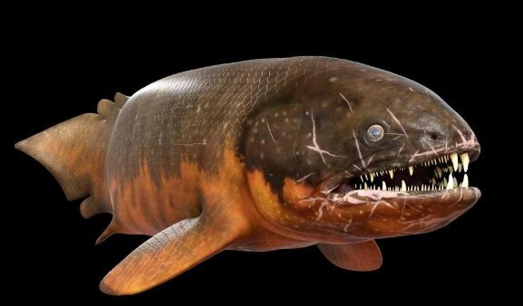 凶狠的史前淡水鱼类-根齿鱼_鱼类百科_爱钓鱼