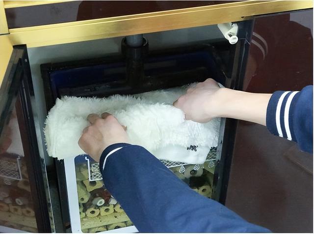 鱼缸过滤棉多久清洗一次,应该如何清洗?