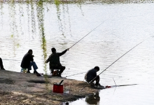 钓鱼常用的虫饵有哪些？适钓哪些鱼种以及垂钓效果如何？