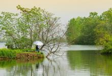 春钓鲫鱼底钓长守无口，怎么打破僵局钓得渔获颇丰？