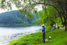 这九个钓鱼常识很有局限性，成为钓鱼误区，误导了很多钓鱼人