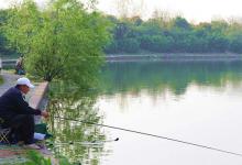 从暮春鲫鱼特征入手，分享选钓位技巧，不浪费这个大好时机