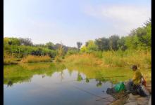 春季野钓这些钓位不能选，不但不留鱼，连过路的也很少有