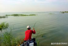 鲫鱼和鲤鱼开始上浅滩了，小短竿准备好，使用短竿钓鱼的技巧