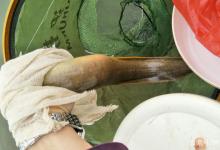 野外如何能钓到刺鳅鱼？试试这两款鱼饵，有刺鳅鱼就能钓到！