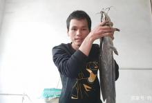 这4种鱼是最成功的入侵鱼类，遇水则活，钓到尽量别放生！