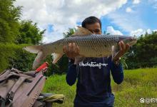 水域有这几种鱼可别错过了，它们好钓又好吃，少有的美味！