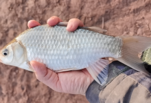 跟着大师学钓鱼，饵料线组都没问题，为啥还是钓不到鱼？