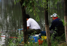 野钓，鱼不开口怎么办？老钓友告诉你死守没有用