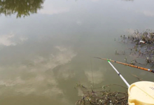 冬季钓鱼发窝慢，关键是方法要用对，快速发窝方法！