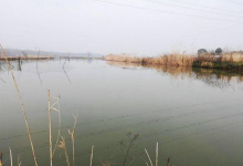 冬钓大板鲫，需谨记4大秘诀，你离大师只差这一步！