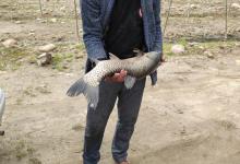 辽宁男子冰上野钓，斩获37斤大草鱼，却遭到钓鱼人狂喷