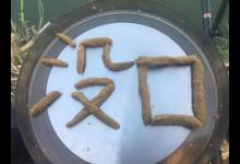 冬季钓鱼半天没一口？教你4招，鱼口越钓越多