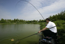 做好以下四点，轻松避免小杂鱼闹窝