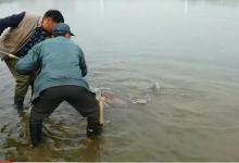 冬季钓鱼为啥天天空军？原因你都猜不到，找到病根才能对症下药