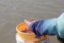 钓鱼用好这3个打窝技巧，诱鱼极快，刚下竿就有口