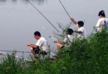 钓不到鱼，并非饵料不行，而是钓法不对！